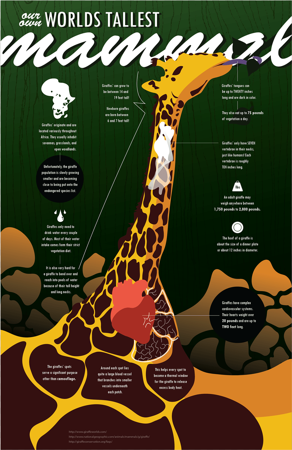Giraffe Infographic Hoffman Enclosures, Advertisement, Poster, Outdoors, Nature Png