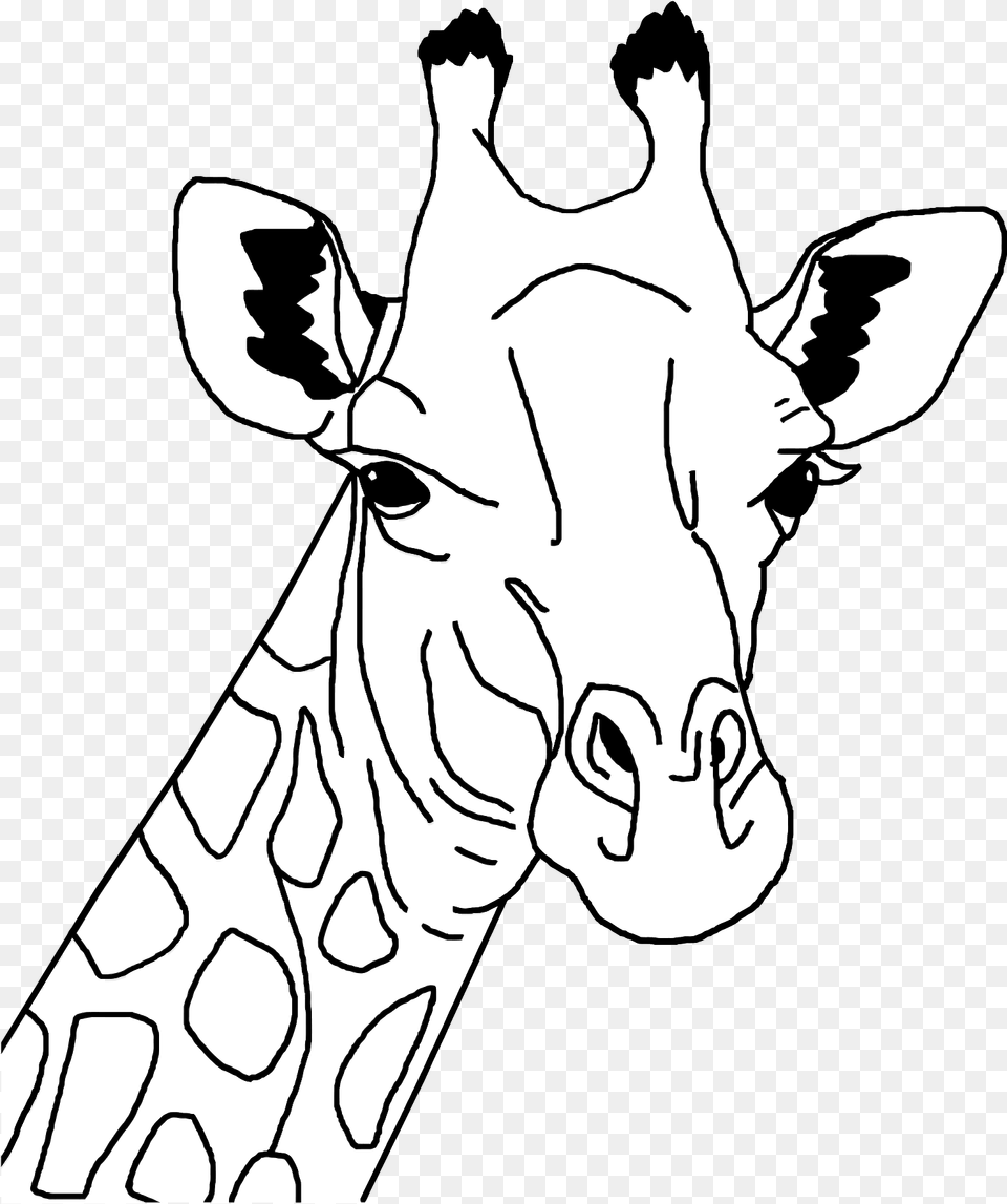 Giraffe Line Art Clip Arts Giraffe Face Clipart Black And White, Stencil, Person, Animal, Mammal Png Image