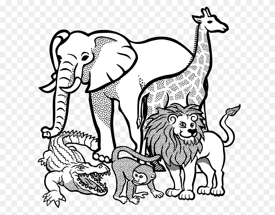 Giraffe Lion Coloring Book Elephants African Elephant, Face, Head, Person, Baby Free Png