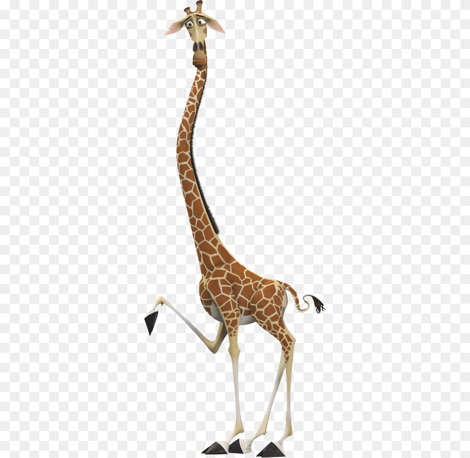 Giraffe Madagascar Melman The Giraffe, Animal, Mammal, Wildlife Free Transparent Png