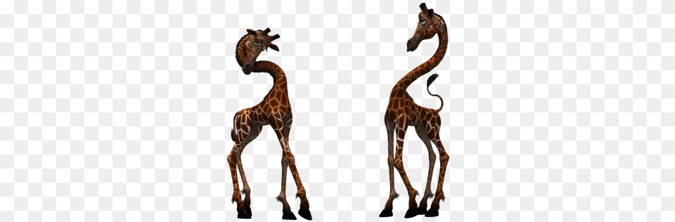 Giraffe Mammal Funny Fantasy Digital Art I Giraffe, Animal, Wildlife Free Transparent Png