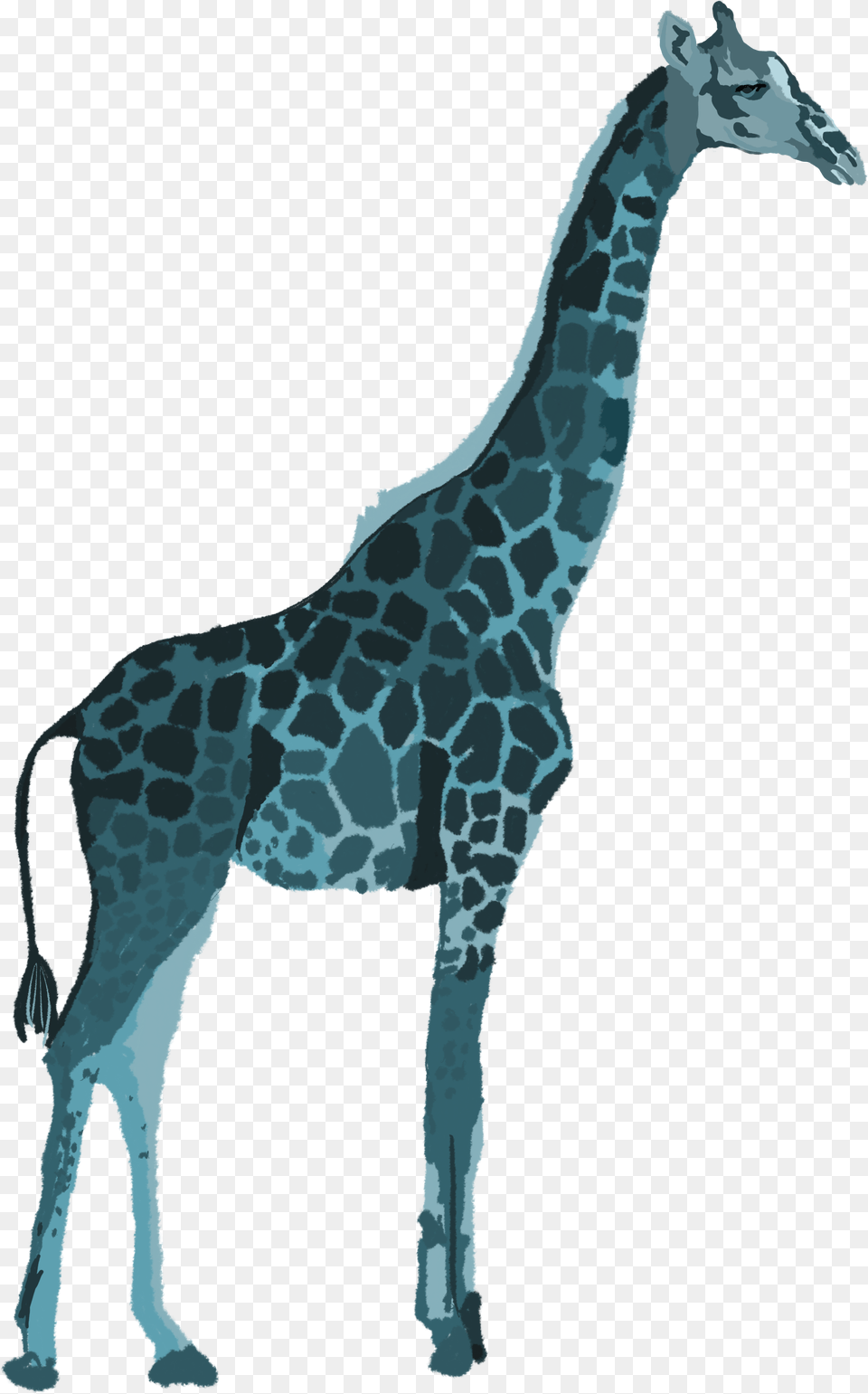 Giraffe Original Ordinary Giraffe, Animal, Mammal, Wildlife Free Png