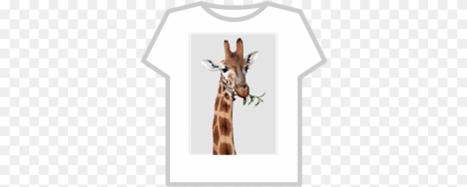 Giraffe Productive Mr Duck Roblox T Shirt, Clothing, T-shirt, Animal, Mammal Free Png Download