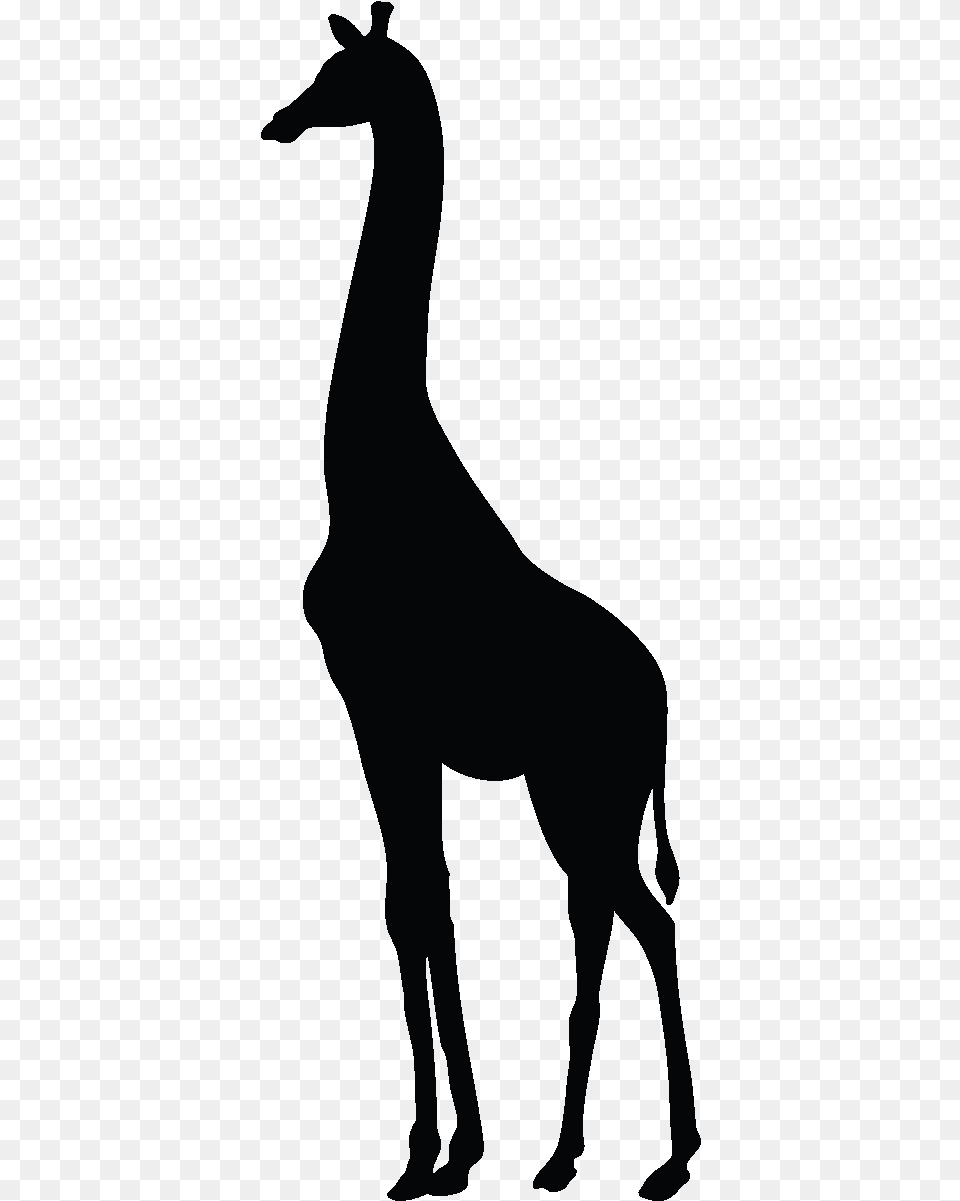 Giraffe Shadow Puppet, Animal, Person, Mammal, Wildlife Png