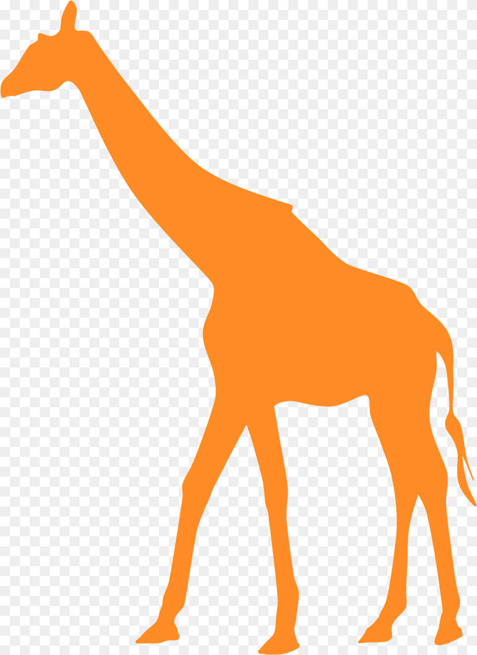 Giraffe Silhouette, Animal, Mammal, Wildlife, Zebra Free Transparent Png
