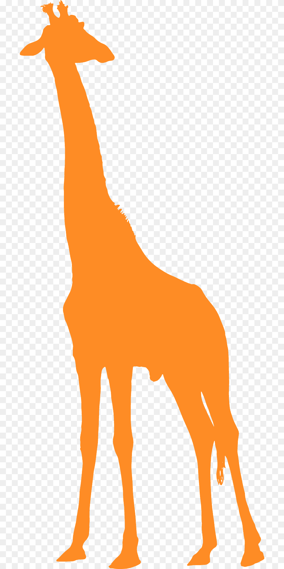 Giraffe Silhouette, Animal, Mammal, Wildlife Png Image