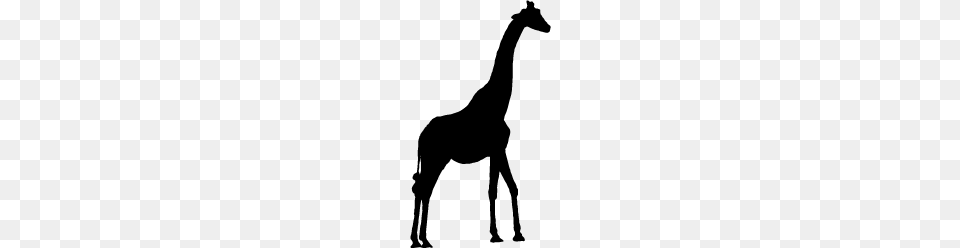 Giraffe Silhouette Clip Art Clip Art, Animal, Mammal, Kangaroo, Wildlife Free Transparent Png