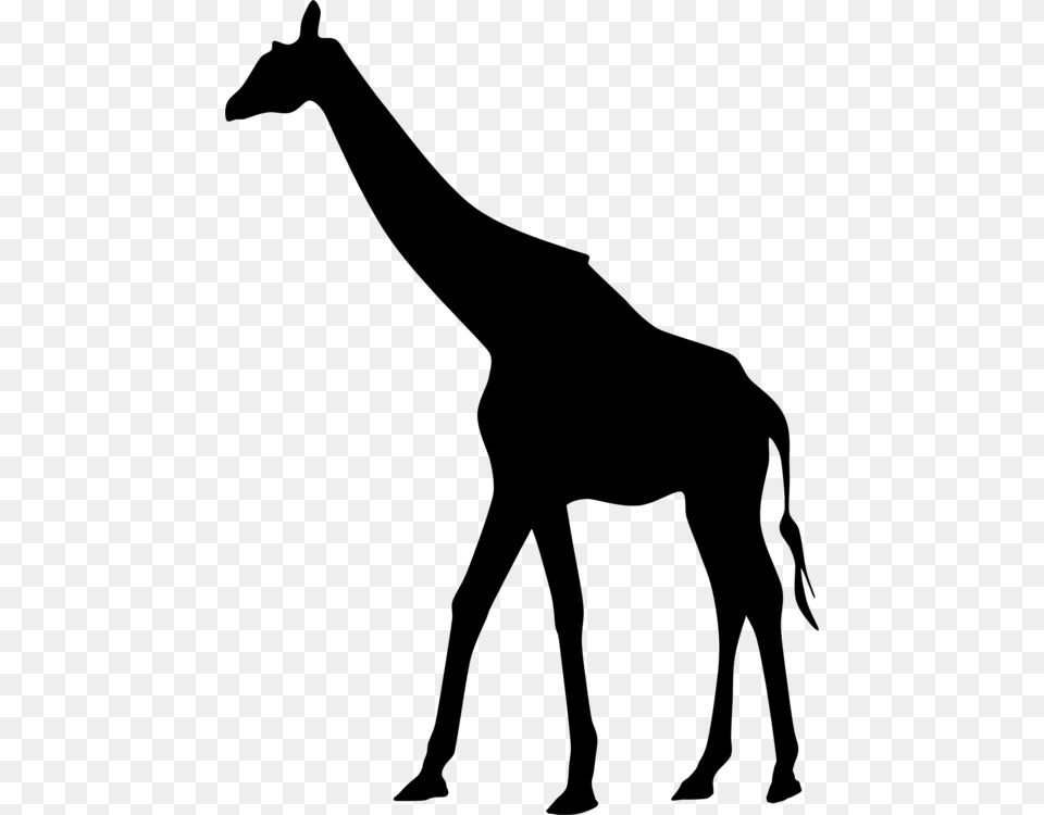 Giraffe Silhouette Drawing Art, Gray Png Image