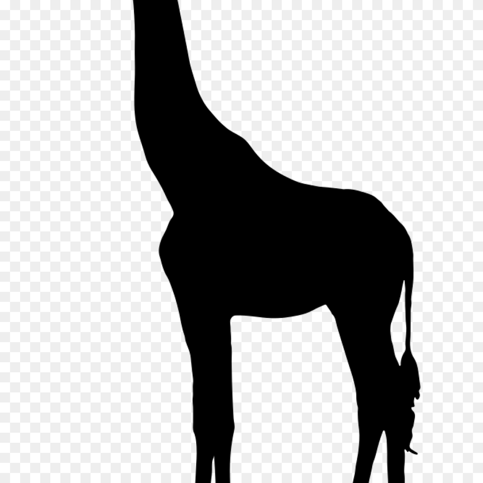 Giraffe Silhouette Onlinelabels Clip Art Music Clipart, Gray Free Png Download