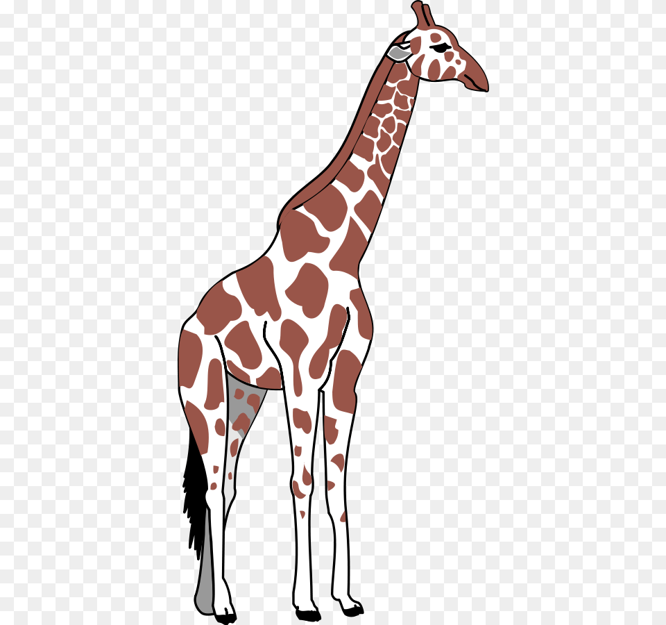 Giraffe Svg Clip Arts Tall And Short Clipart, Animal, Mammal, Wildlife, Adult Png