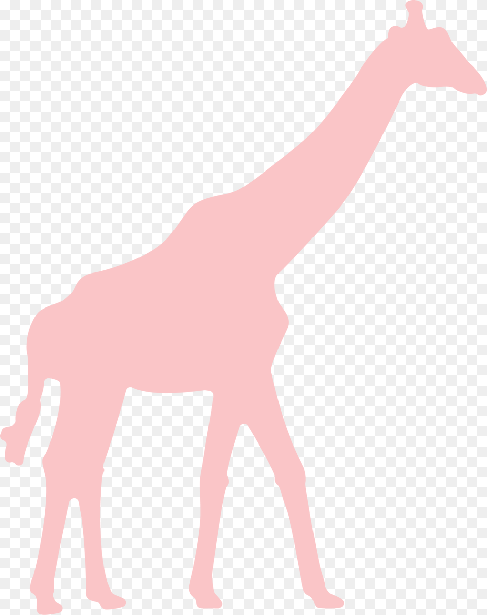 Giraffe Svg Cut File Giraffe Svg, Adult, Female, Person, Woman Png Image