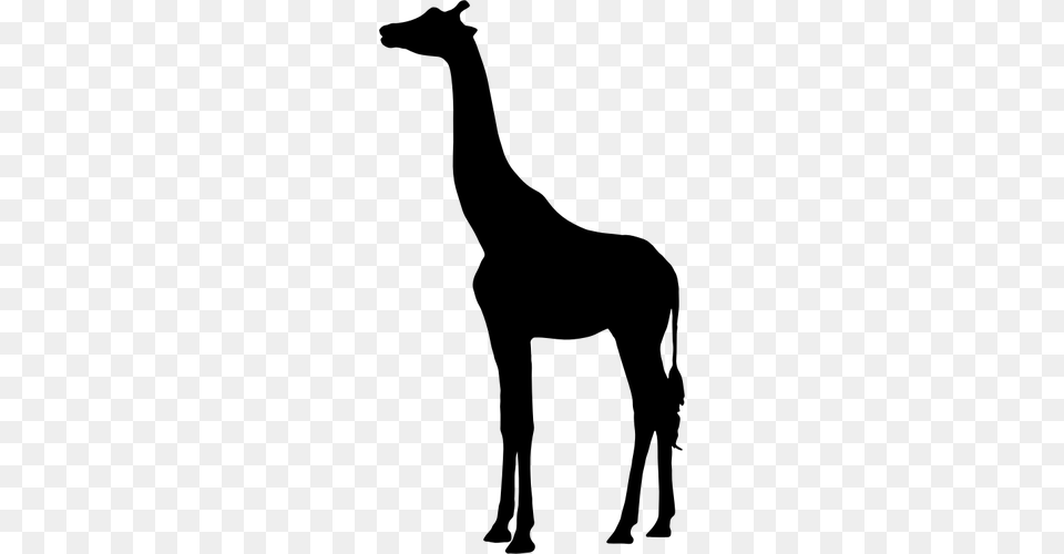 Giraffe Vector Silhouette, Gray Png Image