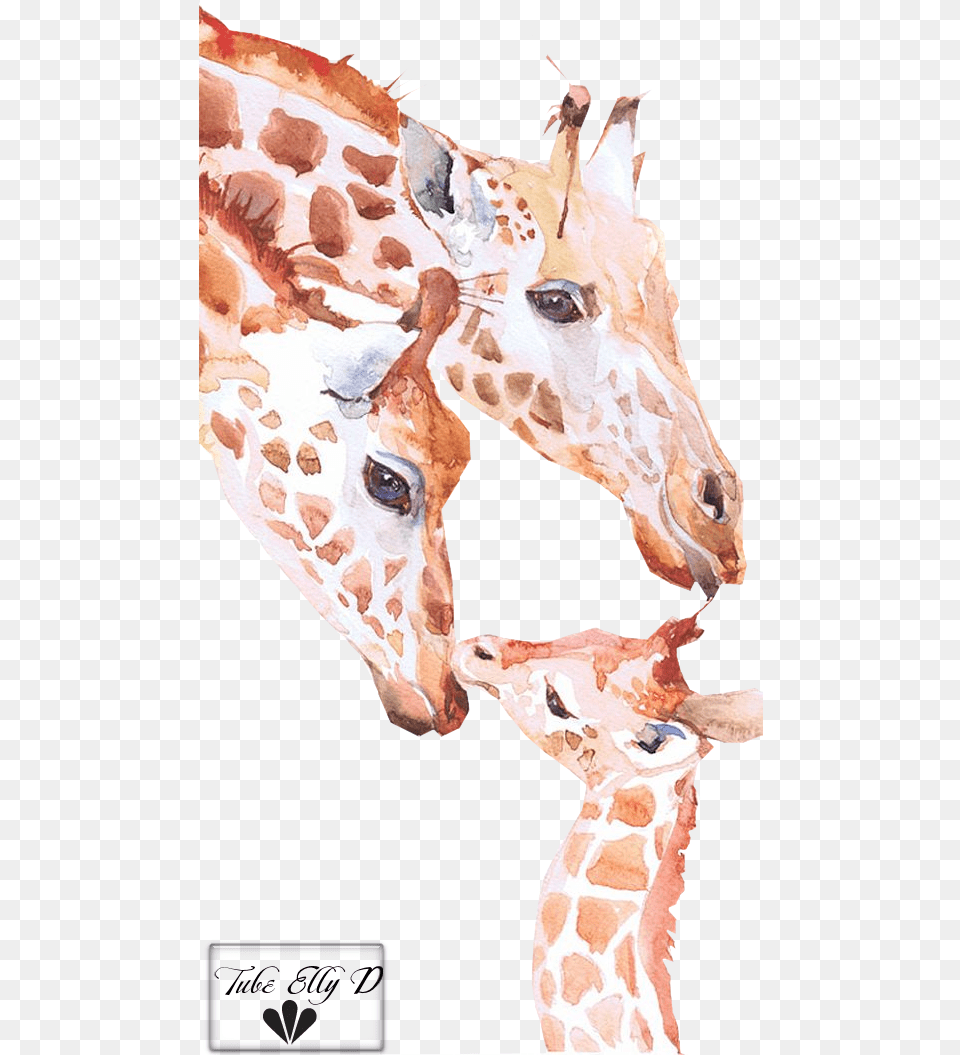 Giraffe Watercolor, Person, Animal, Mammal, Wildlife Png Image