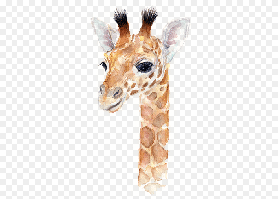 Giraffe Watercolor Kids T Baby Animal Prints, Mammal, Person, Wildlife Free Transparent Png