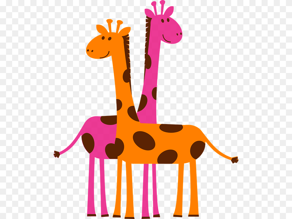 Giraffes Orange Pink Cartoon Safari Giraffes Clipart, Animal, Giraffe, Mammal, Wildlife Free Transparent Png