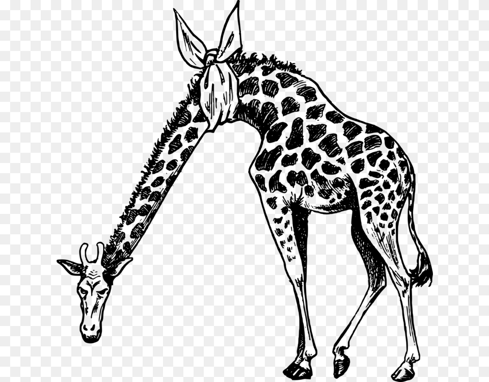 Giraffidaeline Artwildlife Pain In The Neck Giraffe, Gray Png