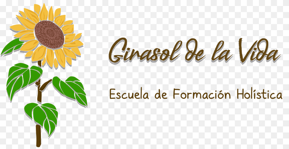 Girasol De La Vida Sunflower, Flower, Plant Free Transparent Png