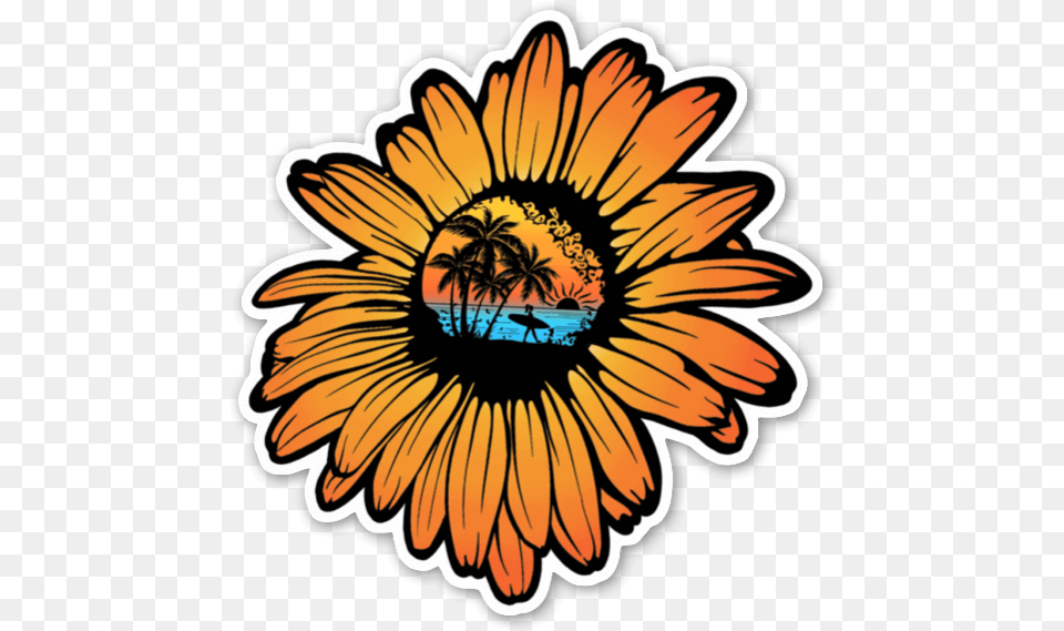 Girasol Surfero Pegatina Surf Sticker, Daisy, Flower, Plant, Petal Png