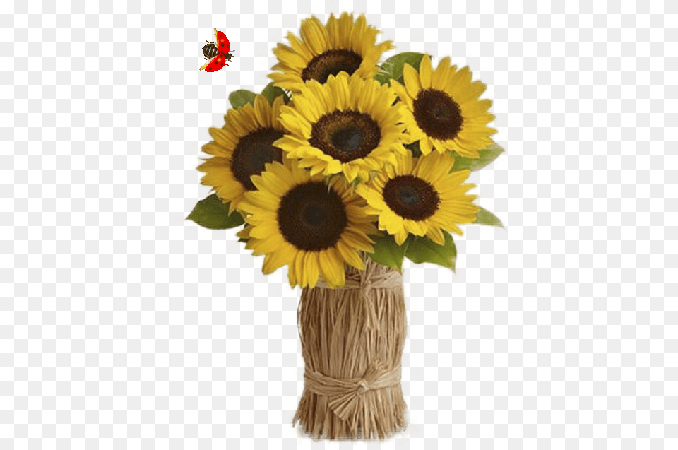 Girasoles Flower Girl Vase Of Sunflowers Card, Flower Arrangement, Plant, Sunflower, Flower Bouquet Free Png Download