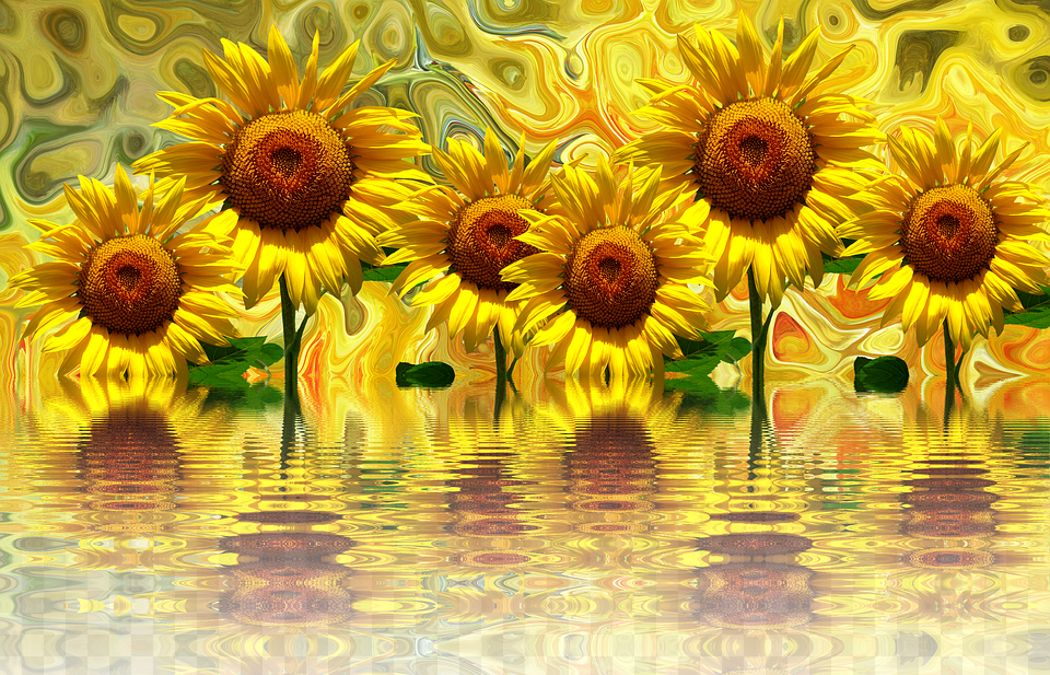 Girasoles Imagenes De Girasoles, Flower, Plant, Sunflower, Art Free Png