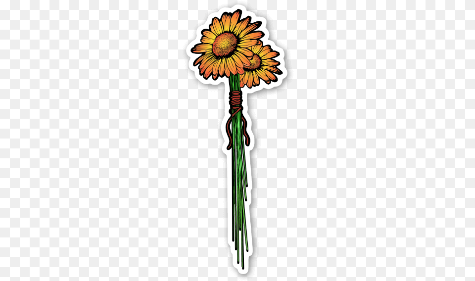 Girasoles Pegatina Sunflower, Art, Plant, Pattern, Graphics Free Png Download