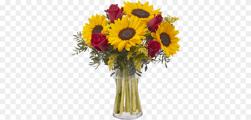 Girasoles Y Rosas Rojas Red Roses With Sunflowers, Flower, Flower Arrangement, Flower Bouquet, Plant Png Image