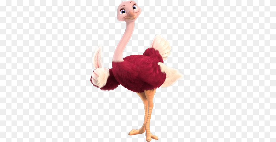 Girl, Animal, Bird, Ostrich, Adult Png Image