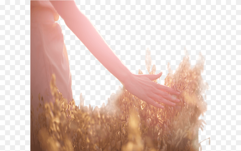 Girl, Body Part, Finger, Hand, Person Free Transparent Png