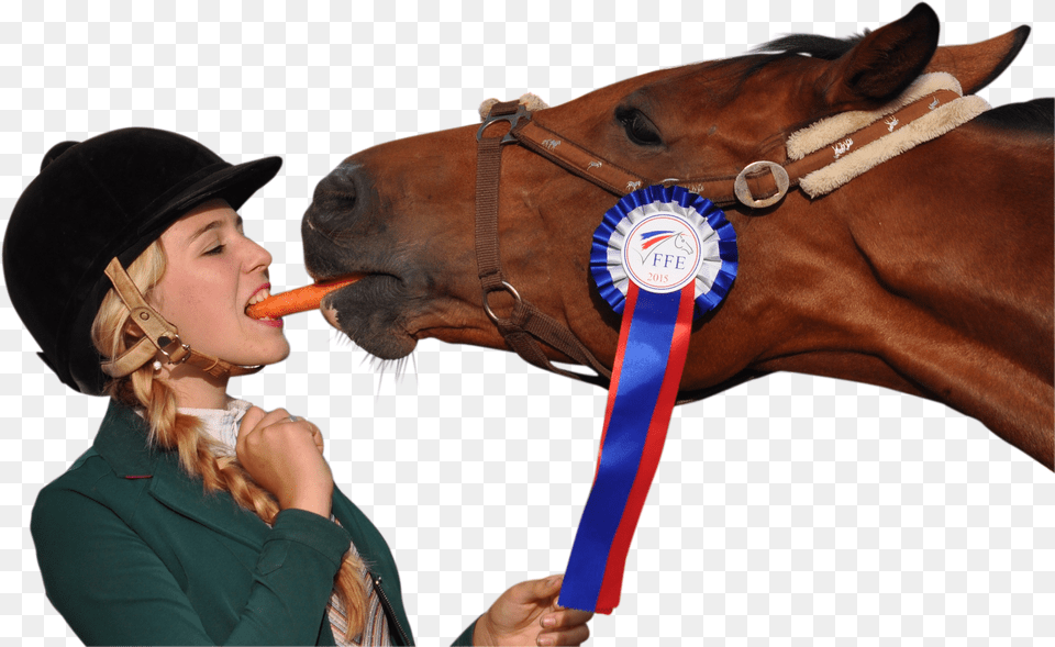 Girl Eating Carrot With Horse Image Do Horses Eat Carrots, Baby, Person Free Png