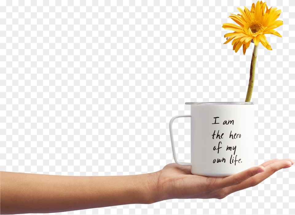 Girl Holding Mug With Flower Hand Transparent Background, Cup, Daisy, Plant, Pottery Free Png Download