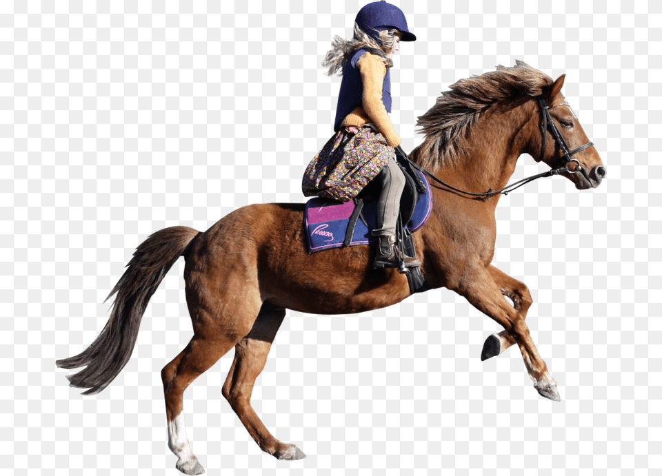Girl Horse, Adult, Person, Woman, Female Free Png Download