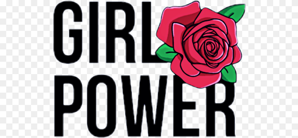Girl Power, Flower, Plant, Rose, Dynamite Free Transparent Png