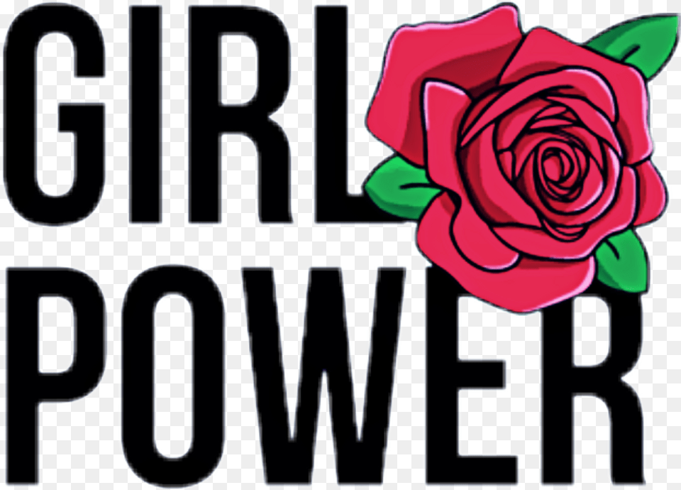 Girl Power Transparent Background Stickers Tumblr Girl Power, Flower, Plant, Rose Png