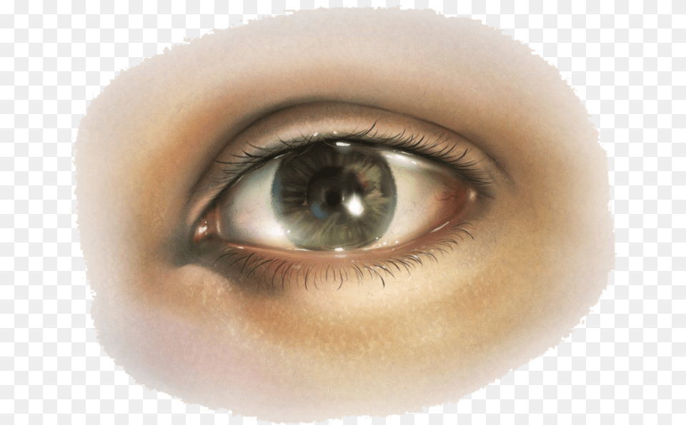 Girl Real Eye, Baby, Person, Contact Lens, Face Png Image