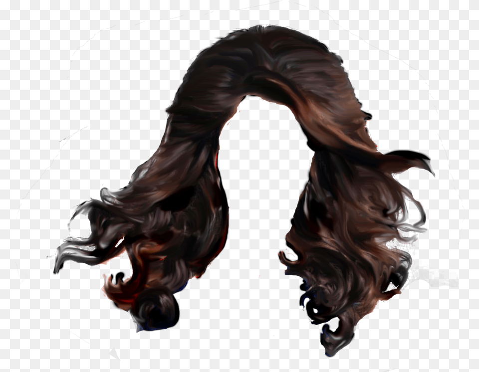 Girls Transparent Hair Picture Long Hair Wig For Men, Adult, Female, Person, Woman Free Png