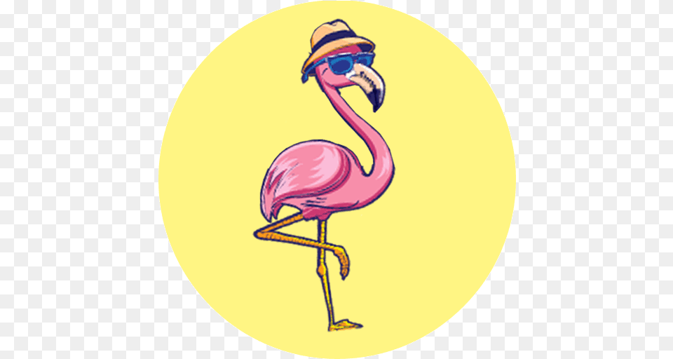Girly Flamingo Icon, Animal, Bird, Beak Free Png Download