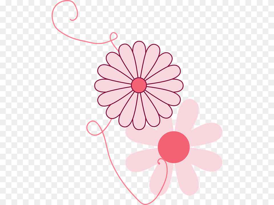 Girly Girly Flowers, Daisy, Flower, Plant, Pattern Free Png