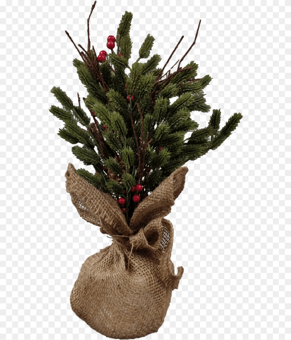 Gisela Graham Christmas Table Decoration Rustic Tree Houseplant, Bag, Plant, Sack Free Png