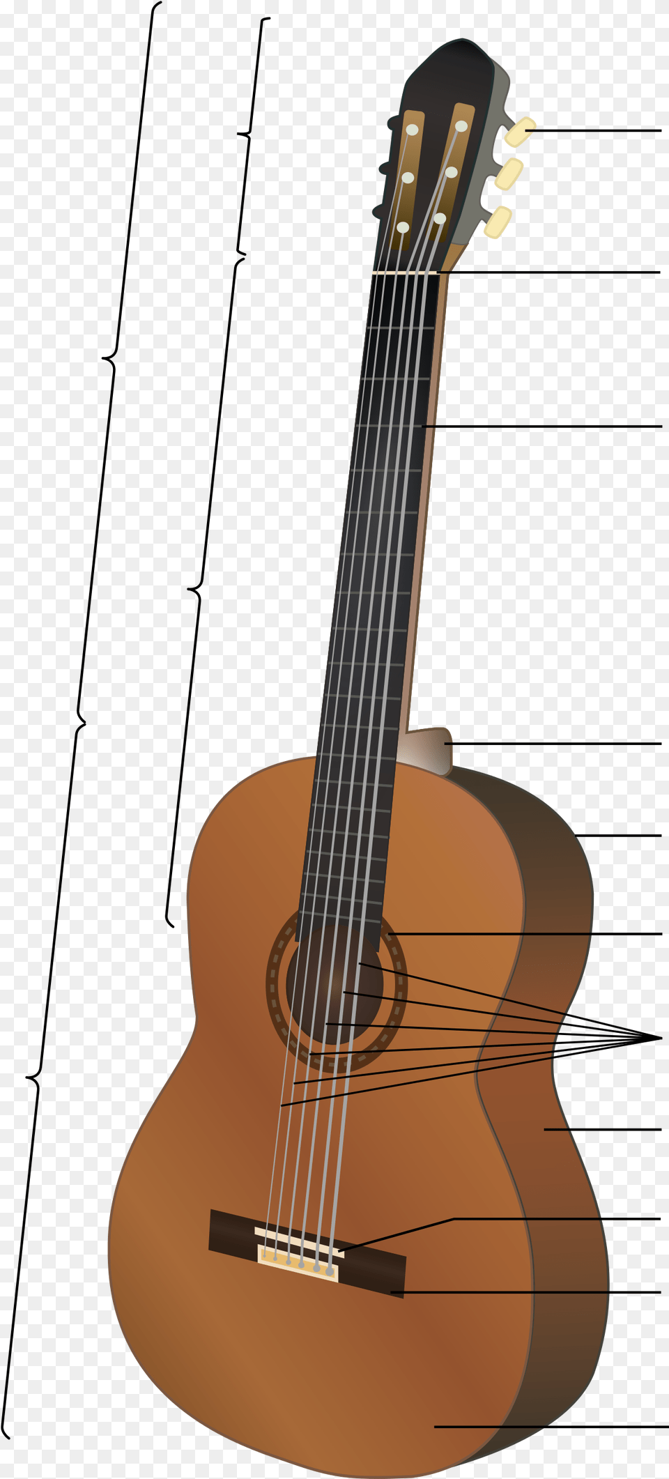 Gitarn Blmleri Ve Zellikleri Classical Guitar Structure, Musical Instrument, Bass Guitar Free Png Download