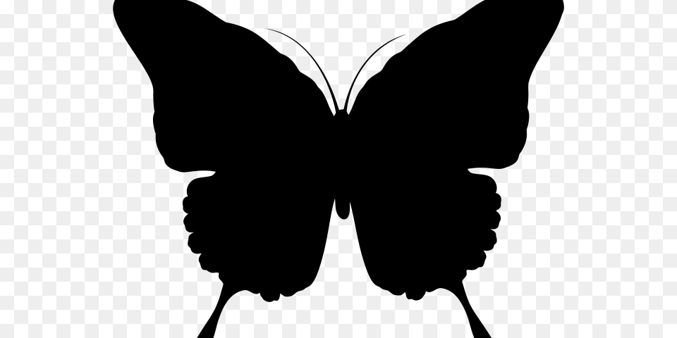 Gitarre Clipart Silhouette Of Butterfly, Gray Free Png Download