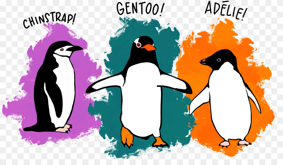 Github Tutorial Palmer Penguins, Animal, Bird, Penguin Png