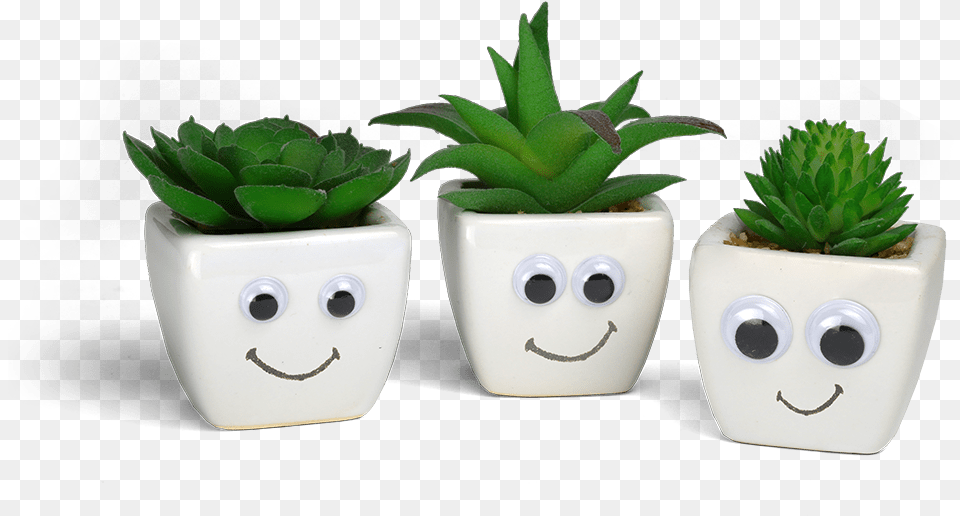 Give 5 Get 5 When You Refer A Friend Flowerpot, Jar, Plant, Planter, Potted Plant Free Transparent Png