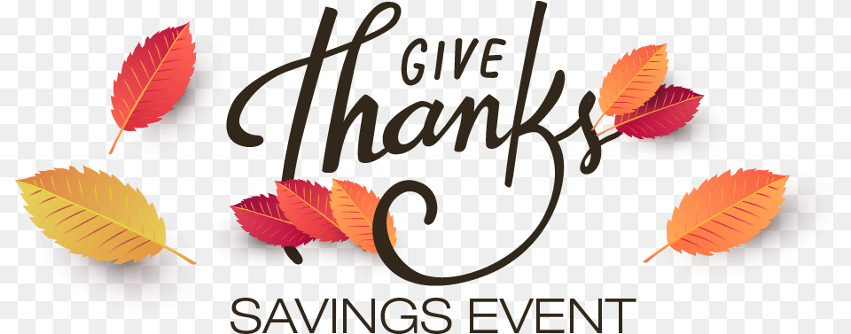 Give Thanks Savings Event 2017 Ending Tomorrow Calligraphy, Leaf, Plant, Text Free Transparent Png