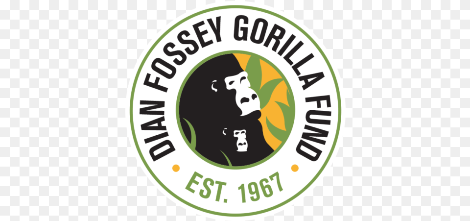 Giving Back Gorilla With A Brush Dian Fossey Gorilla Fund International, Logo, Baby, Person, Face Png