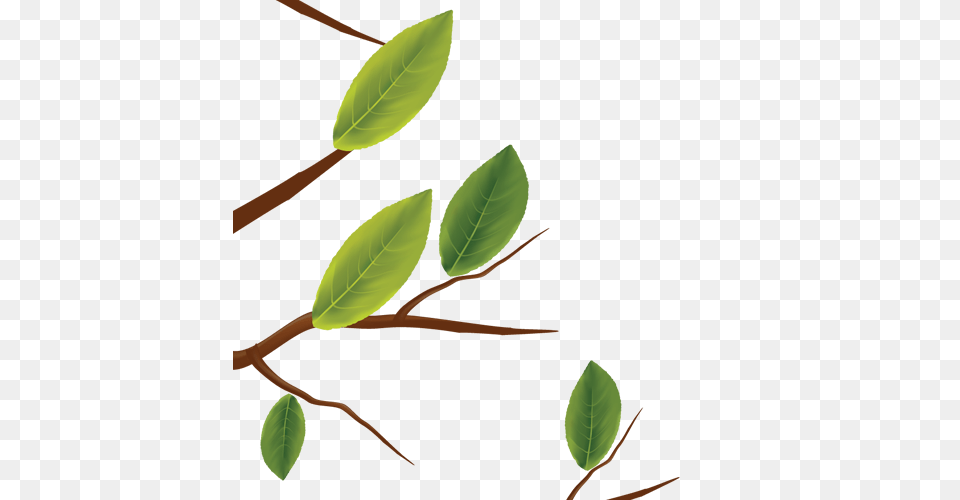 Giving Tree Friends Of Peterson, Leaf, Plant Png Image