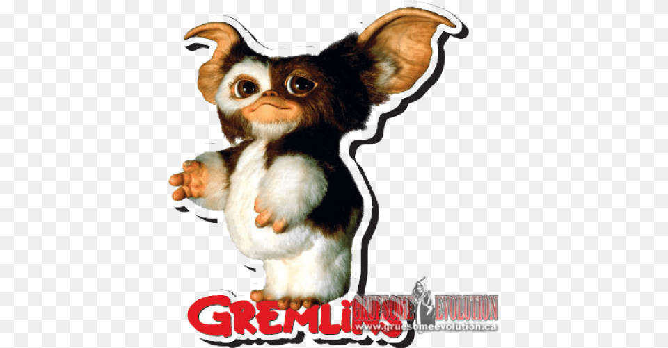 Gizmo Gremlins, Animal, Bird Free Transparent Png