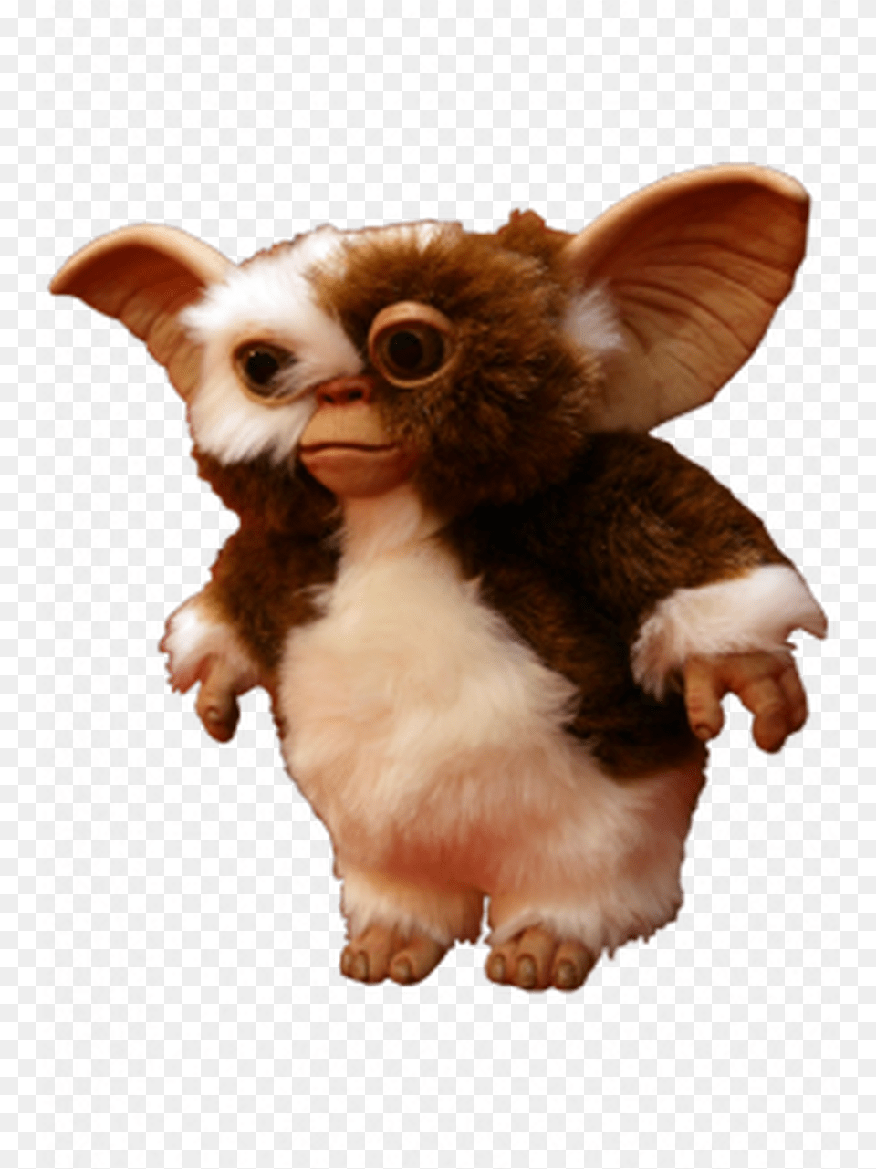 Gizmo Hand Puppet Prop Gremlins Gizmo Puppet Prop, Plush, Toy, Animal, Canine Free Png Download