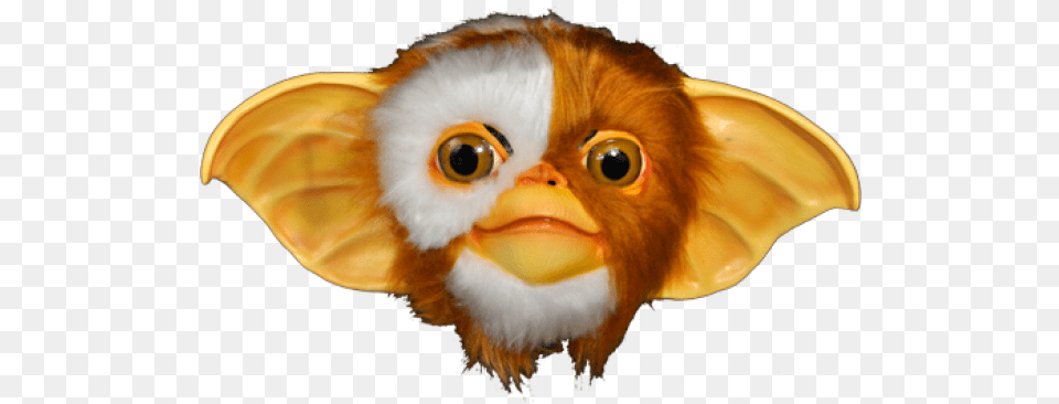 Gizmo Mask, Animal, Beak, Bird Png