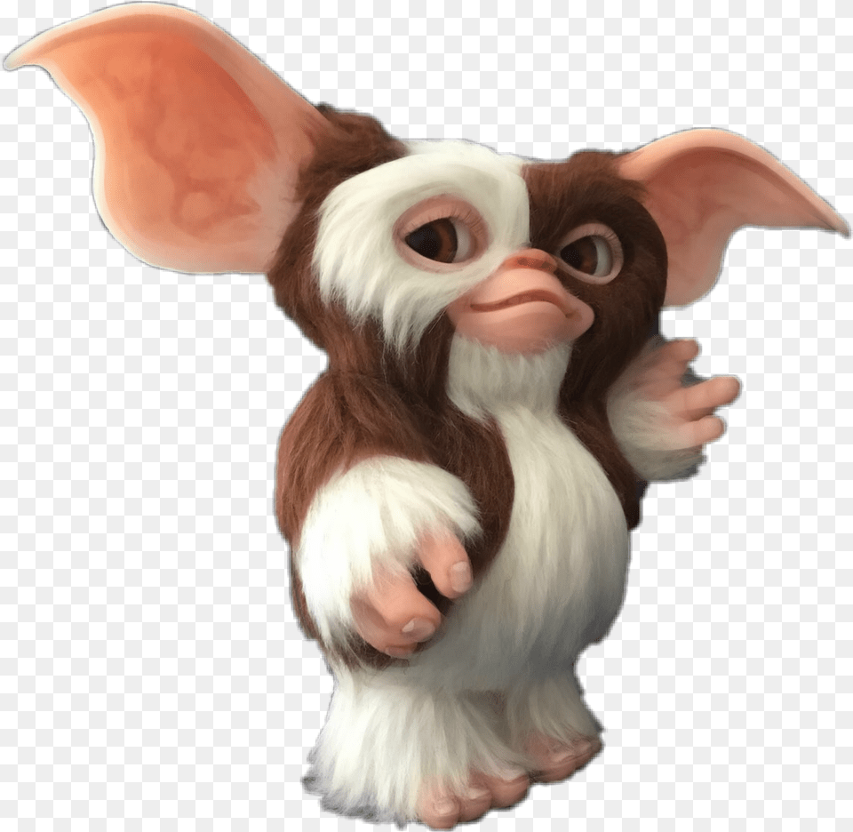 Gizmo Mogwai Gremlin Monsters Gizmo Gremlins, Face, Head, Person, Animal Png