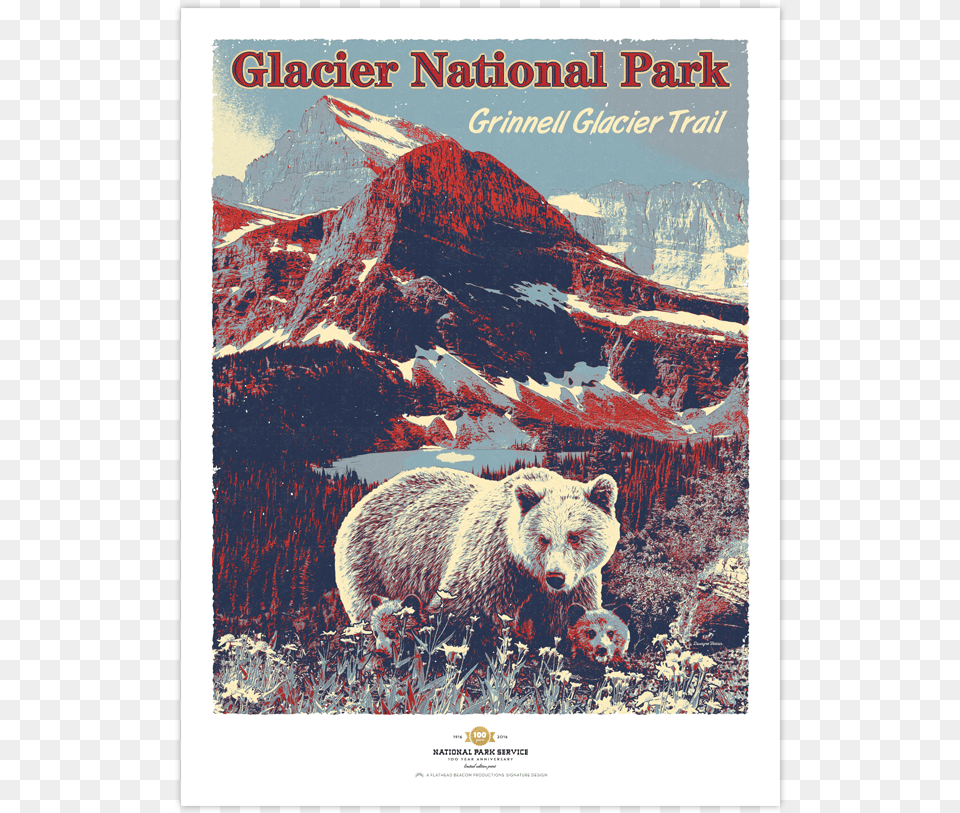 Glacier National Park Prints Kodiak Bear, Animal, Mammal, Wildlife, Advertisement Free Transparent Png